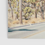 Desert Road, Joshua Tree Landscape Photography Poster Gallery Image 3