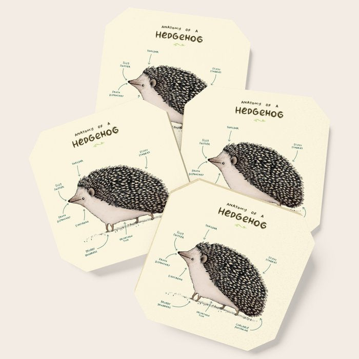 Anatomy of a Hedgehog Coaster Gallery Image 1