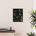 Paul Sougy: The Human Skull, 1950s (proceeds benefit The Nature Conservancy) Poster Gallery Image 2