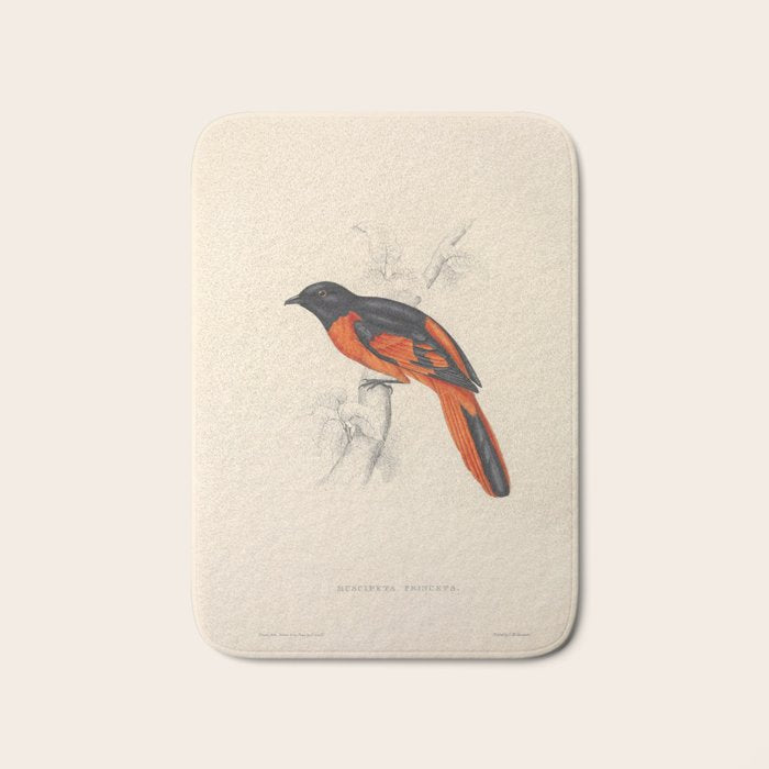 Scarlet minivet by Elizabeth Gould from "A Century of Birds from the Himalaya Mountains," 1831 Bath Mat Gallery Image 1