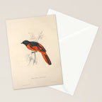 Scarlet minivet by Elizabeth Gould from "A Century of Birds from the Himalaya Mountains," 1831 Stationery Card Gallery Image 2