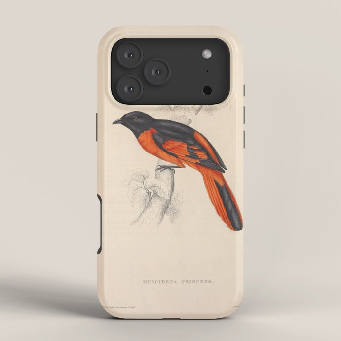 Scarlet minivet by Elizabeth Gould from "A Century of Birds from the Himalaya Mountains," 1831 iPhone Case Gallery Image 4