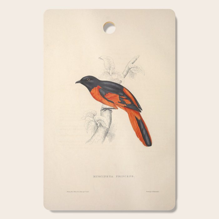Scarlet minivet by Elizabeth Gould from "A Century of Birds from the Himalaya Mountains," 1831 Cutting Board Gallery Image 1