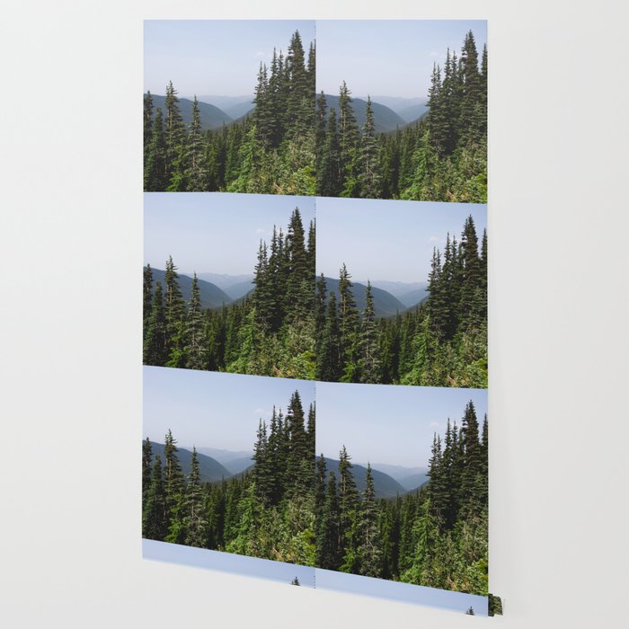 Mount Rainier Summer Adventure VII - Pacific Northwest Mountain Landscape Wallpaper Gallery Image 2
