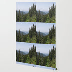 Mount Rainier Summer Adventure VII - Pacific Northwest Mountain Landscape Wallpaper Gallery Image 2