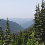 Mount Rainier Summer Adventure VII - Pacific Northwest Mountain Landscape Coffee Mug Gallery Image 2