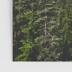 Mount Rainier Summer Adventure VII - Pacific Northwest Mountain Landscape Poster Gallery Image 3