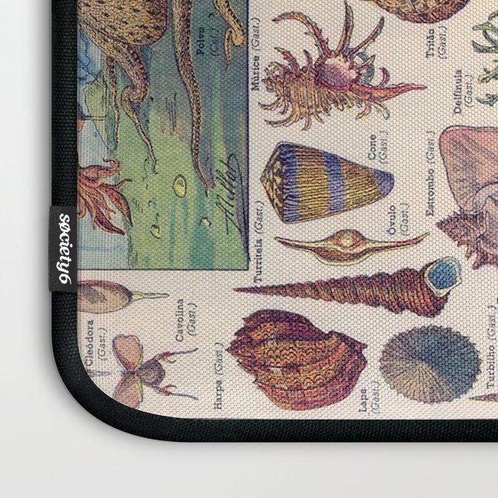 Adolphe Millot Mollusques Larousse Vintage Scientific Encyclopedia Illustration Lithograph Ocean  Laptop Sleeve Gallery Image 3