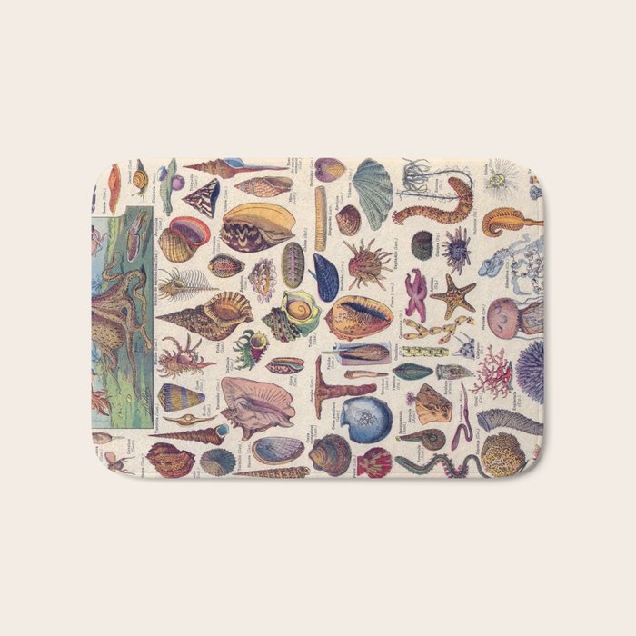 Adolphe Millot Mollusques Larousse Vintage Scientific Encyclopedia Illustration Lithograph Ocean  Bath Mat Gallery Image 1