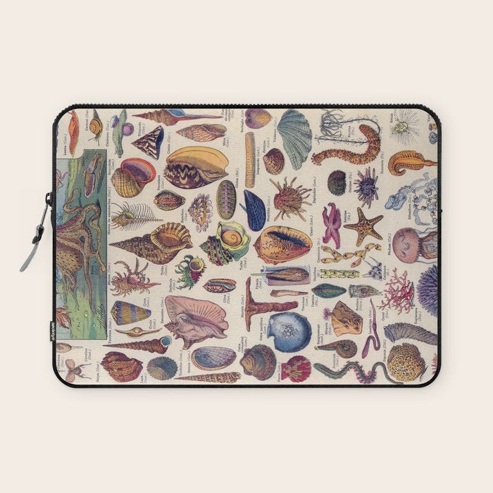 Adolphe Millot Mollusques Larousse Vintage Scientific Encyclopedia Illustration Lithograph Ocean  Laptop Sleeve Gallery Image 1