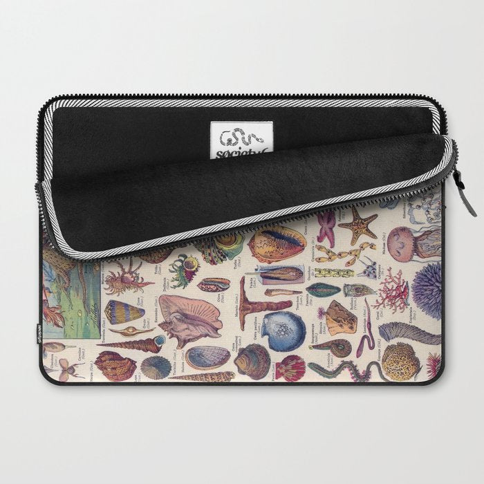 Adolphe Millot Mollusques Larousse Vintage Scientific Encyclopedia Illustration Lithograph Ocean  Laptop Sleeve Gallery Image 2