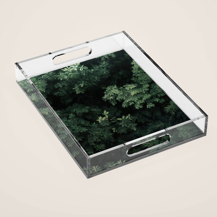 Wabi Sabi Art Japandi Wall Art Maximalist Decor for Living Room Sage Green Japanese Wall Art Gift Acrylic Tray Gallery Image 1
