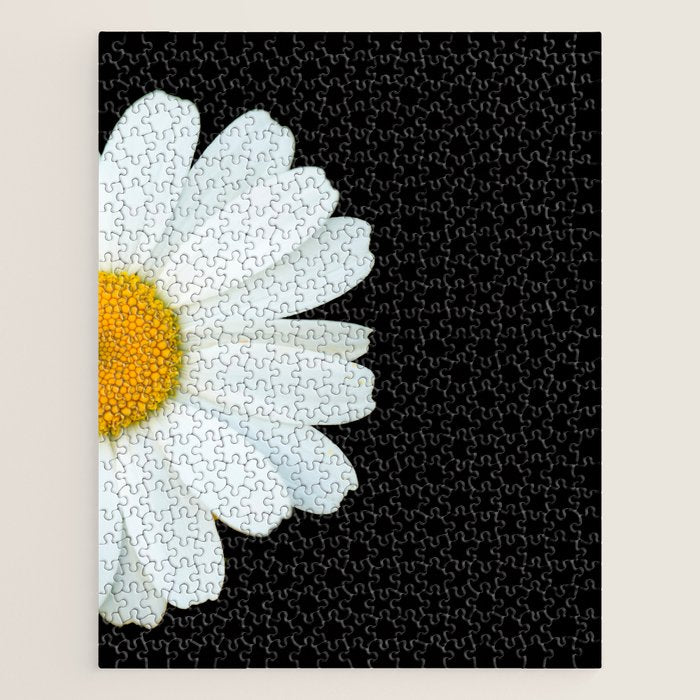 Hello Daisy - White Flower Black Background #decor #society6 #buyart Jigsaw Puzzle Gallery Image 1