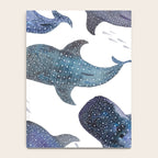 Whale Shark Pattern Party Notebook Gallery Image 4