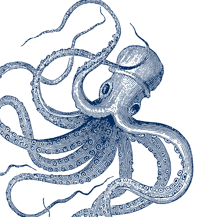 Blue nautical vintage octopus illustration Coffee Mug Gallery Image 2