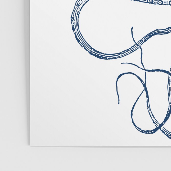 Blue nautical vintage octopus illustration Poster Gallery Image 3