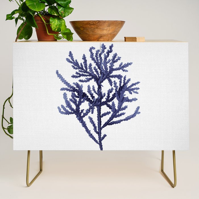 Seaweed 8 Credenza Gallery Image 1
