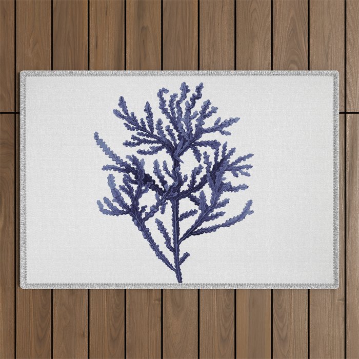 Seaweed 8 Outdoor Rug Gallery Image 1