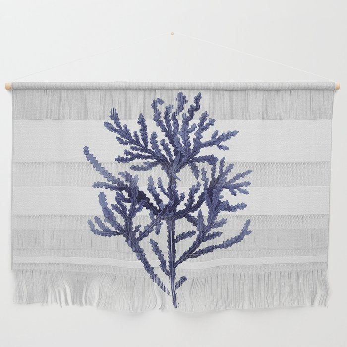 Seaweed 8 Wall Hanging Gallery Image 1