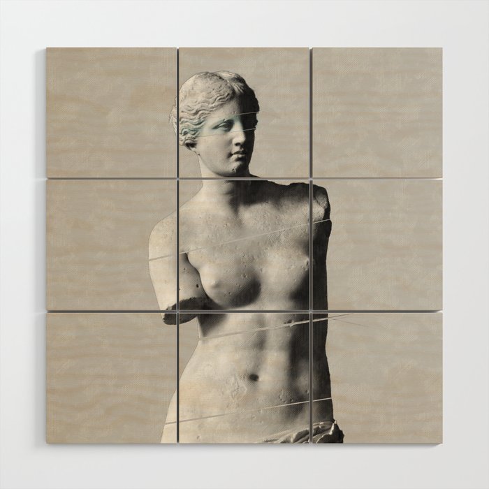 Venus de Milo Wood Wall Art Gallery Image 1