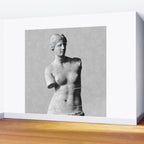 Venus de Milo Wall Mural Gallery Image 2