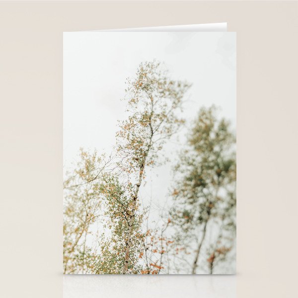 Overhead Canopy 2 - Modern Abstract Tree Photo Stationery Card Gallery Image 1