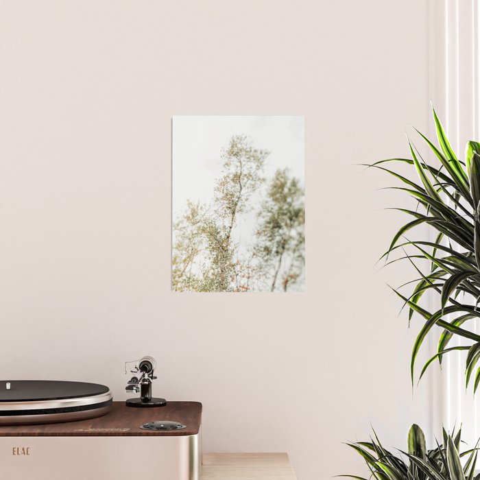 Overhead Canopy 2 - Modern Abstract Tree Photo Poster Gallery Image 2