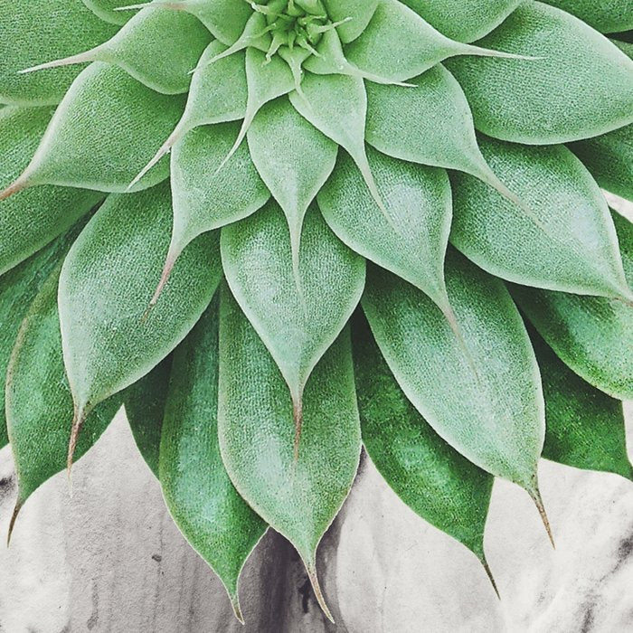A Succulent Woman Coffee Mug Gallery Image 2