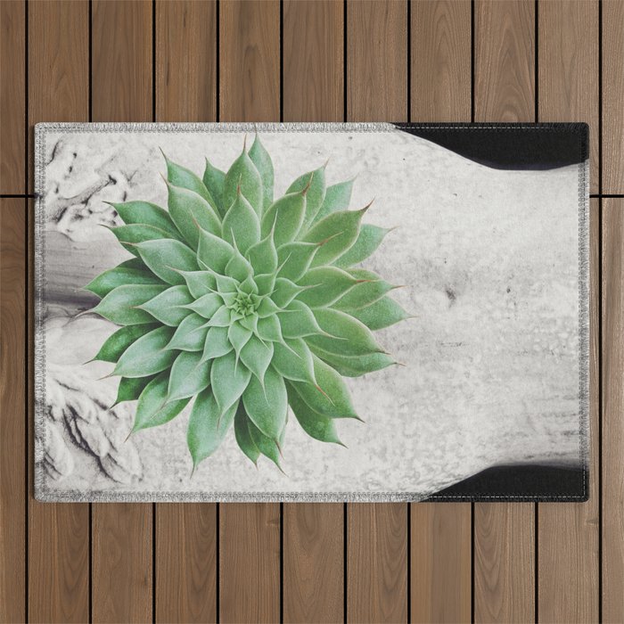 A Succulent Woman Outdoor Rug Gallery Image 1