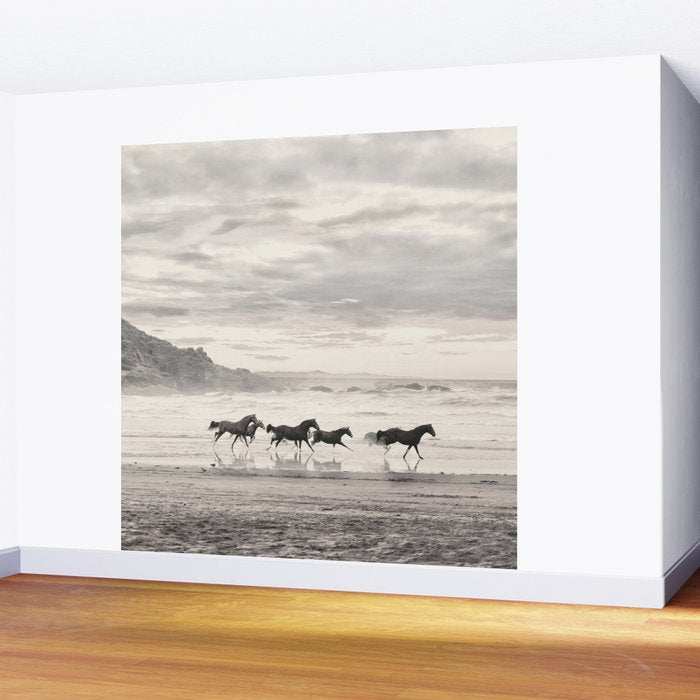 Horses on the Beach Wall Mural Gallery Image 2