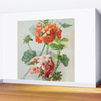 Panneaux de Fleurs  1900 Watercolor Geranium Illustration Wall Mural Gallery Image 2