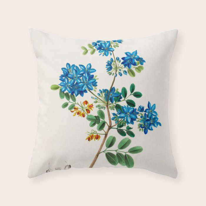 Blue flowering tree from "Flore dâAmÃ©rique" by Ãtienne Denisse, 1840s Throw Pillow Gallery Image 6
