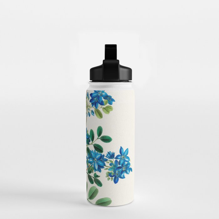 Blue flowering tree from "Flore dâAmÃ©rique" by Ãtienne Denisse, 1840s Water Bottle Gallery Image 2