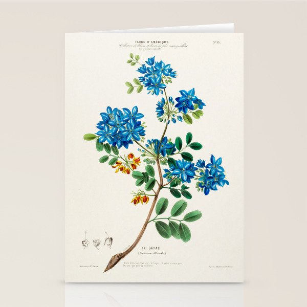 Blue flowering tree from "Flore dâAmÃ©rique" by Ãtienne Denisse, 1840s Stationery Card Gallery Image 1