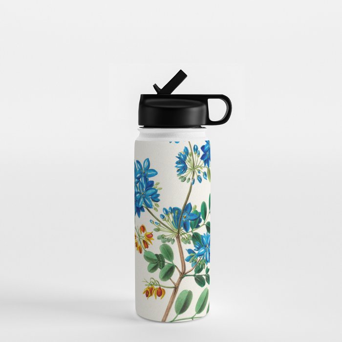 Blue flowering tree from "Flore dâAmÃ©rique" by Ãtienne Denisse, 1840s Water Bottle Gallery Image 1