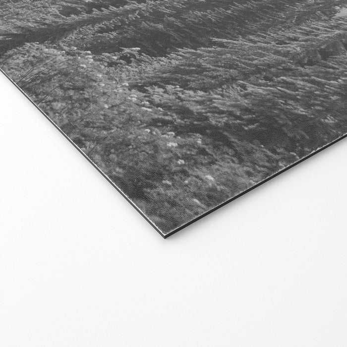 Escape to the Wilds - Black and White Nature Photography Welcome Mat Gallery Image 2