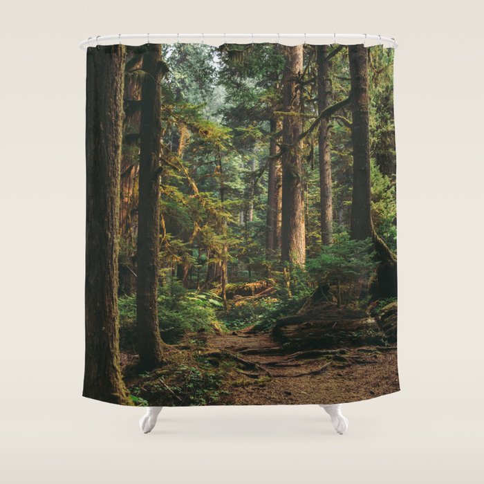Woodland Landscape II Shower Curtain Gallery Image 1