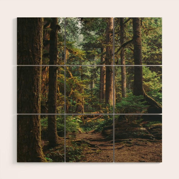 Woodland Landscape II Wood Wall Art Gallery Image 1