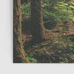 Woodland Landscape II Poster Gallery Image 3