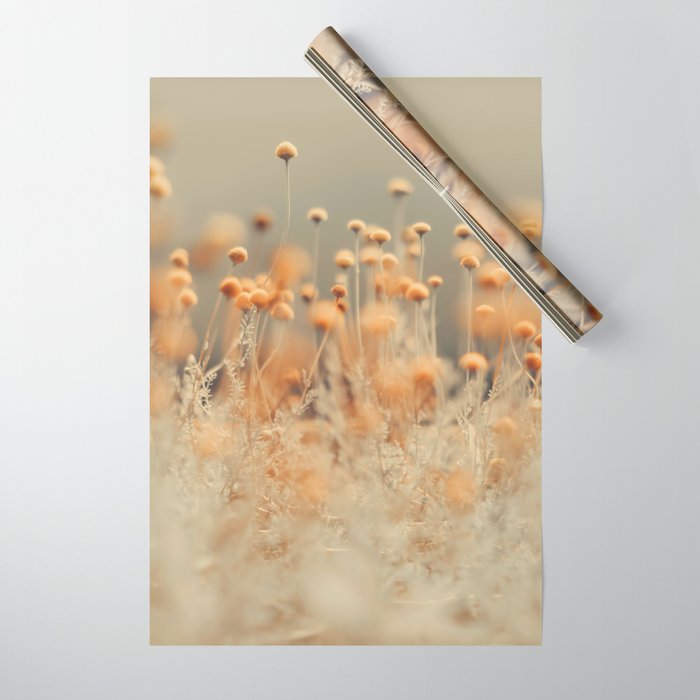 Mustard Yellow Flowers - Flower photography by Ingrid Beddoes Wrapping Paper Gallery Image 1