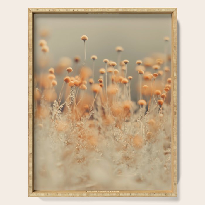 Mustard Yellow Flowers - Flower photography by Ingrid Beddoes Serving Tray Gallery Image 1