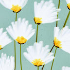 Delicate blooms Coffee Mug Gallery Image 2