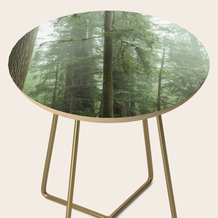 Redwood National Park - Misty Mountain Forest Adventure Side Table Gallery Image 2