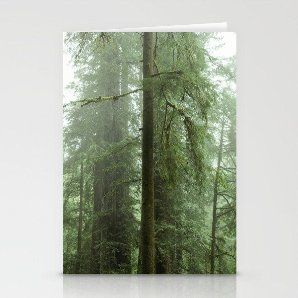 Redwood National Park - Misty Mountain Forest Adventure Stationery Card Gallery Image 2