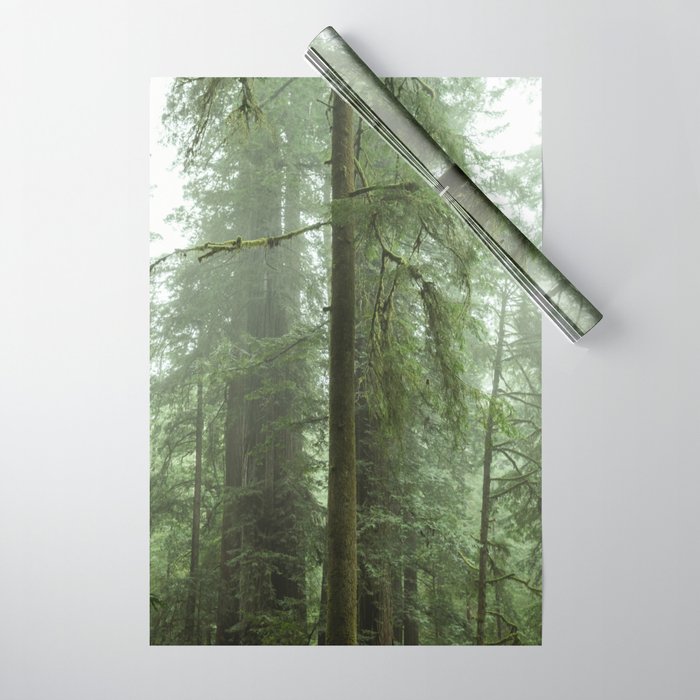 Redwood National Park - Misty Mountain Forest Adventure Wrapping Paper Gallery Image 1
