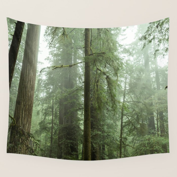 Redwood National Park - Misty Mountain Forest Adventure Wall Tapestry Gallery Image 1