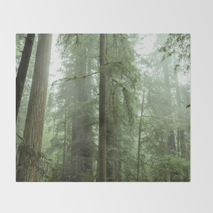 Redwood National Park - Misty Mountain Forest Adventure Throw Blanket Gallery Image 2