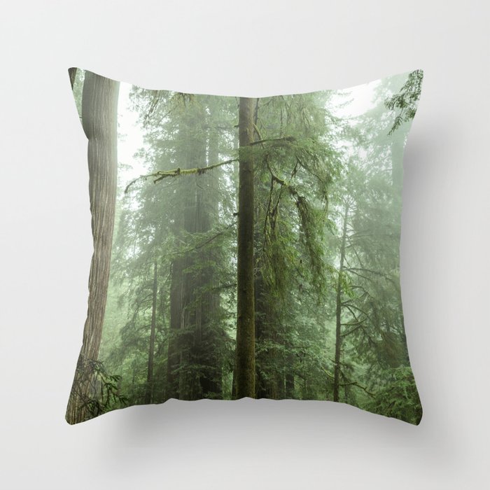Redwood National Park - Misty Mountain Forest Adventure Throw Pillow Gallery Image 6