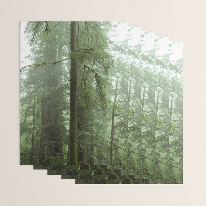Redwood National Park - Misty Mountain Forest Adventure Wrapping Paper Gallery Image 3