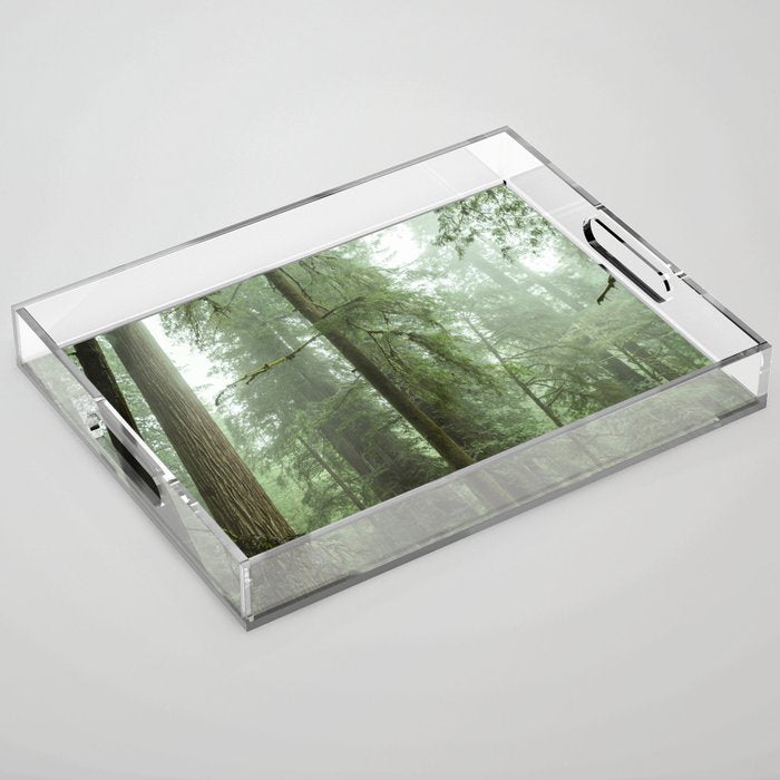 Redwood National Park - Misty Mountain Forest Adventure Acrylic Tray Gallery Image 1